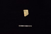 陶片藏品圖，第1張